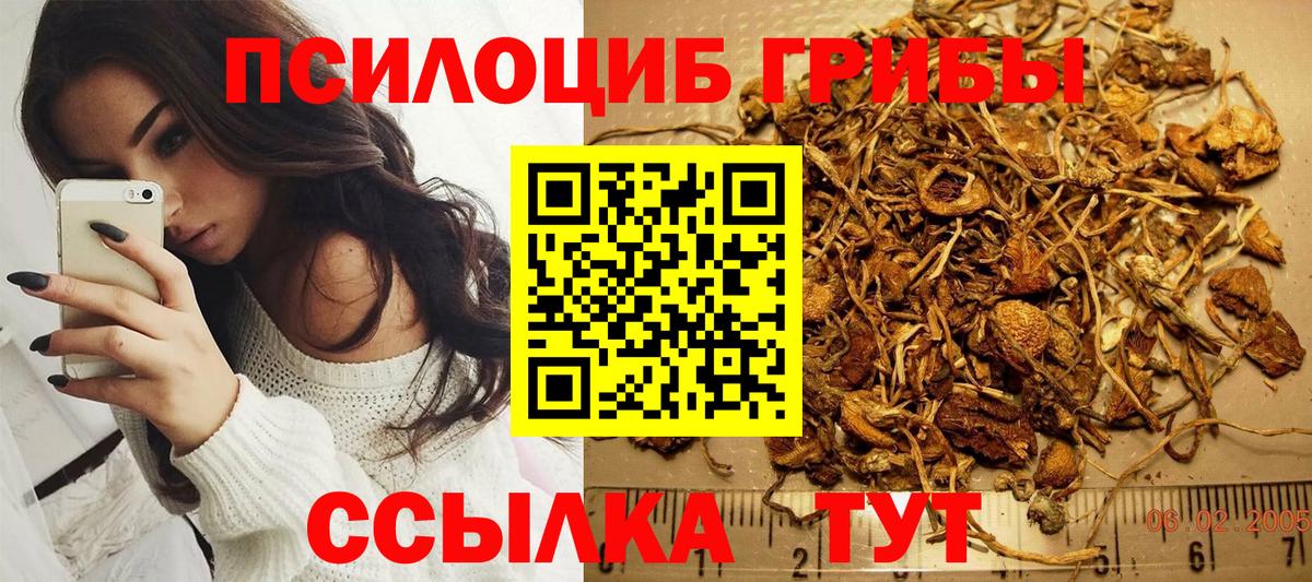 Псилоцибиновые грибы Psilocybine cubensis  Вход с VPN  Пугачёв  Псилоцибиновые грибы Magic Shrooms 